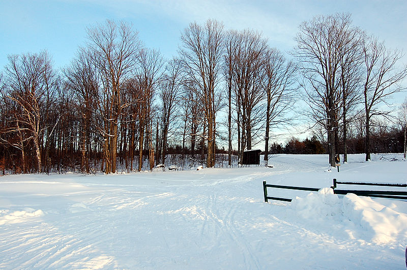 Tupper Lake Cross Country Ski Trail Head