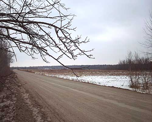 Flat farmland near the Canadian border