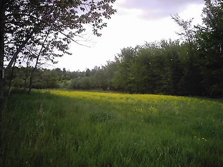 Upper and Lower Lakes Wildlife Management Area